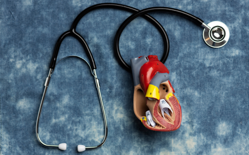 Artificial Organs: Engineered organ replacements | Mahalakshmi college for Allied health science